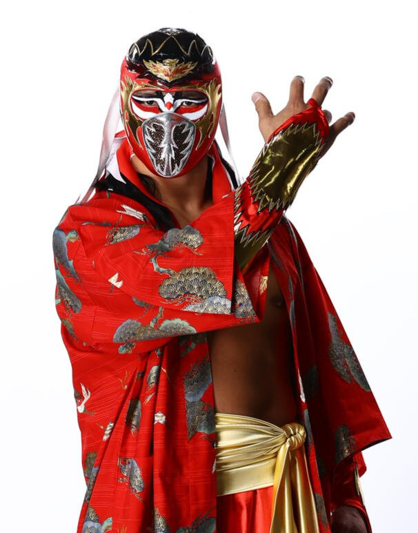 Hayabusa